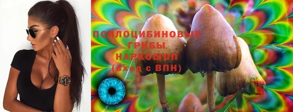 спайс Беломорск