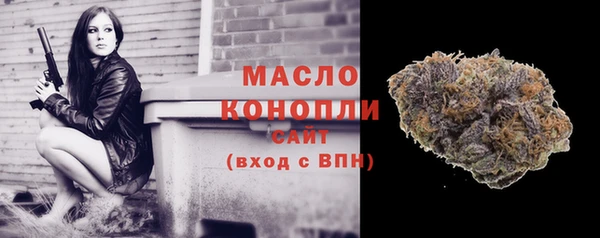 гашик Богородицк