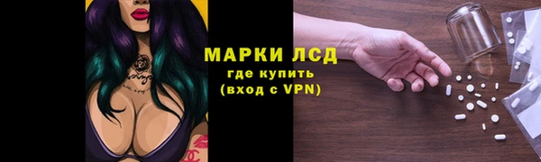 гашик Богородицк