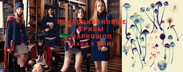гашик Богородицк