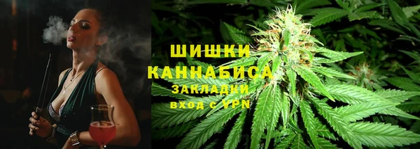 spice Богданович