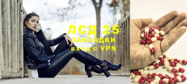 spice Богданович