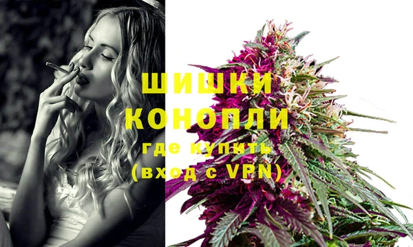 spice Богданович