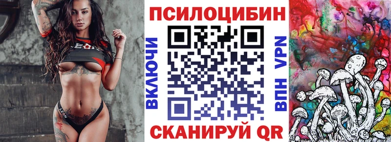 Псилоцибиновые грибы Psilocybine cubensis  Шадринск 
